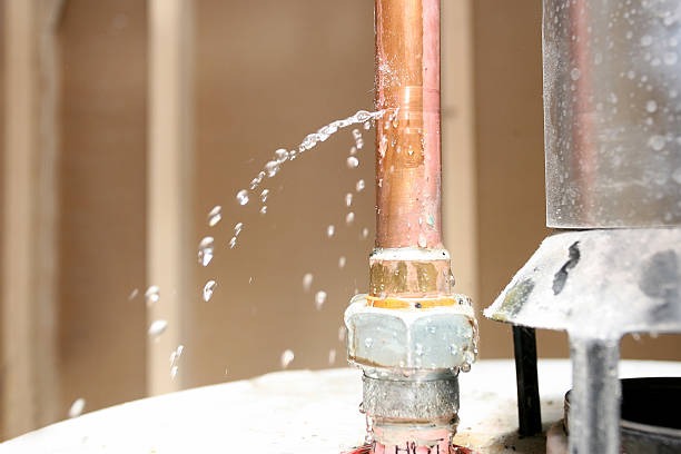 Visit Us Here to Schedule a Plumbing Inspection in Fort Wayne Today